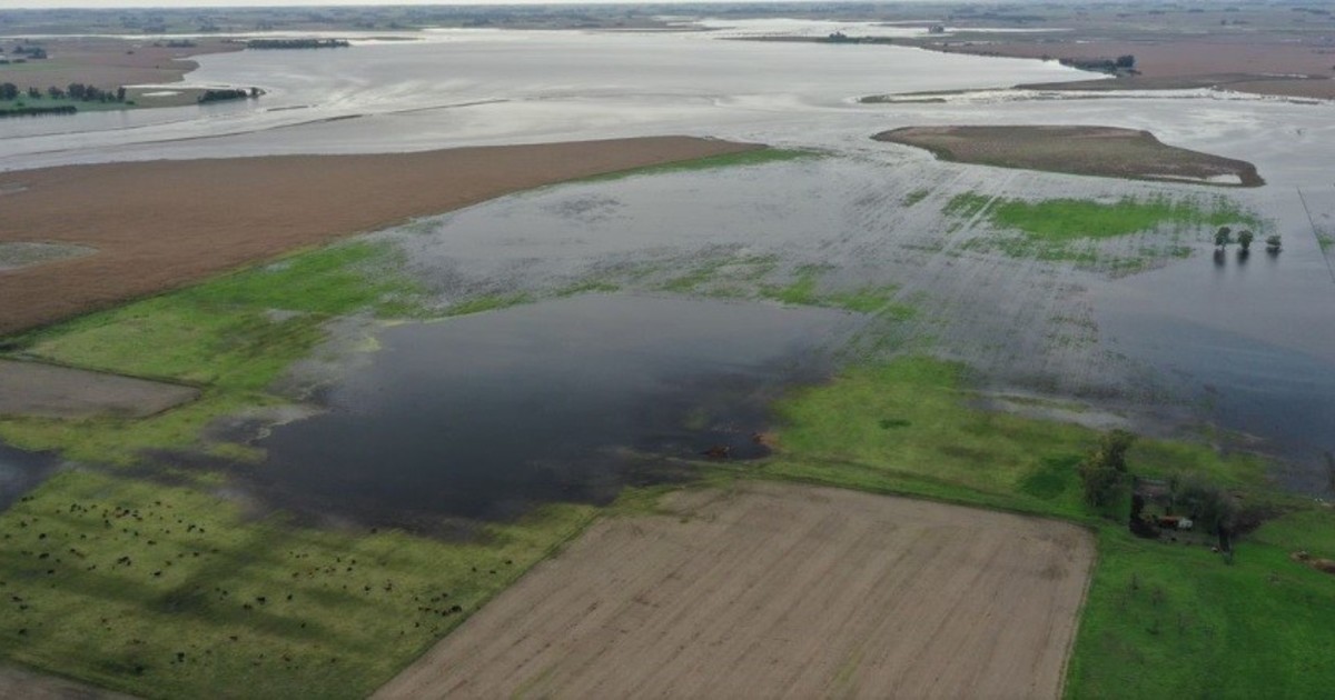 por-las-inundaciones-y-la-falta-de-obras,-peligra-la-produccion-de-trigo