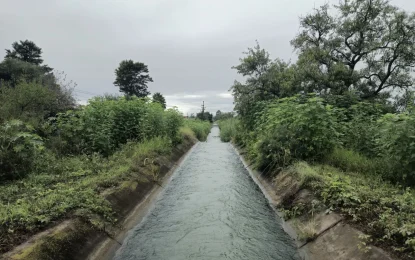 Hídricos instala rejas en el canal secundario 8