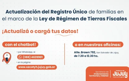 Lotes fiscales: carga y actualización de datos en el Registro Único