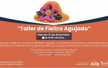 Taller de Fieltro Agujado, aprende a crear desde cero con técnica ancestral
