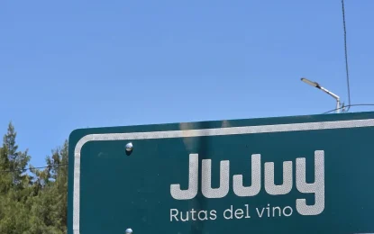 Jujuy consolida su Ruta del Vino: un producto icónico que crece entre valles y altura extrema