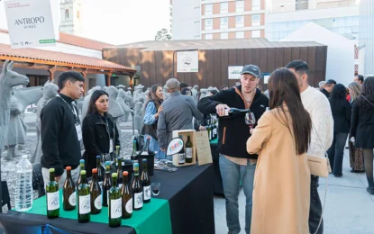 Vinos de altura: 17 bodegas jujeñas se reúnen este jueves en el Cabildo