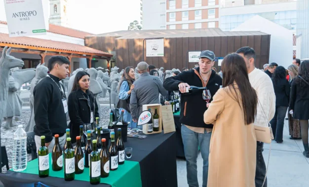 Vinos de altura: 17 bodegas jujeñas se reúnen este jueves en el Cabildo
